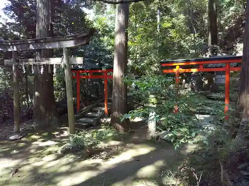 柴神社の鳥居