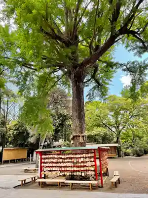 平塚八幡宮(神奈川県)