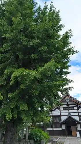 妙覺寺（妙覚寺）(京都府)