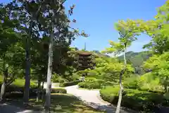 瑠璃光寺の庭園