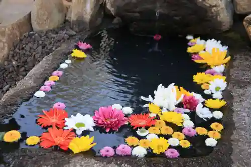 大鏑神社の手水