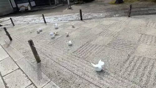 仁和寺(京都府)