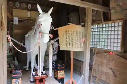 三春大神宮の狛犬