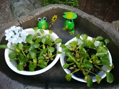 彌彦神社　(伊夜日子神社)の手水舎