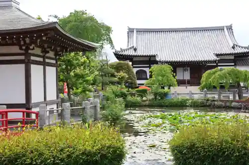 圓照寺(埼玉県)