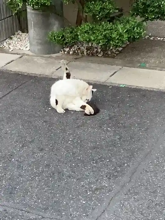 日輪寺(愛知県)