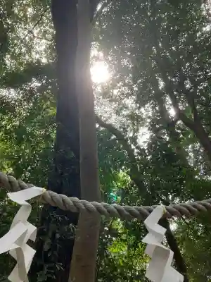 賀茂神社(滋賀県)