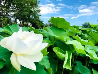 水沼神社の自然