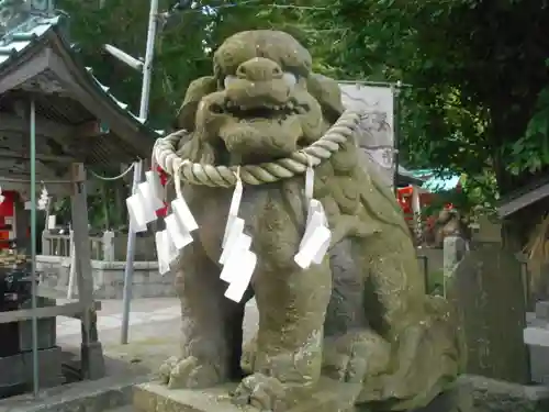 海南神社の狛犬