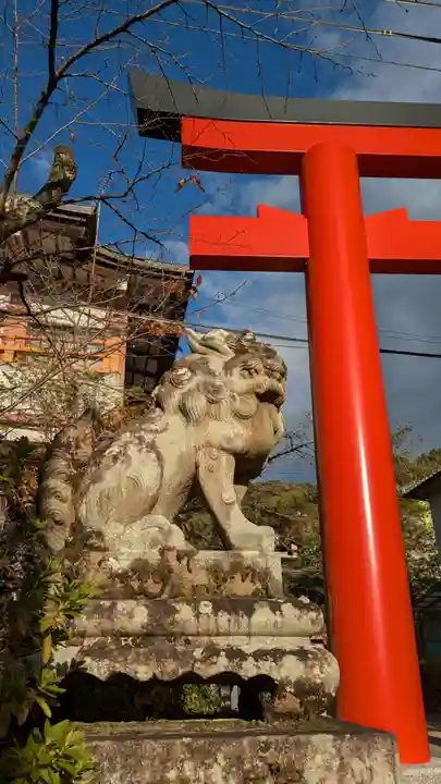 宇治神社の狛犬