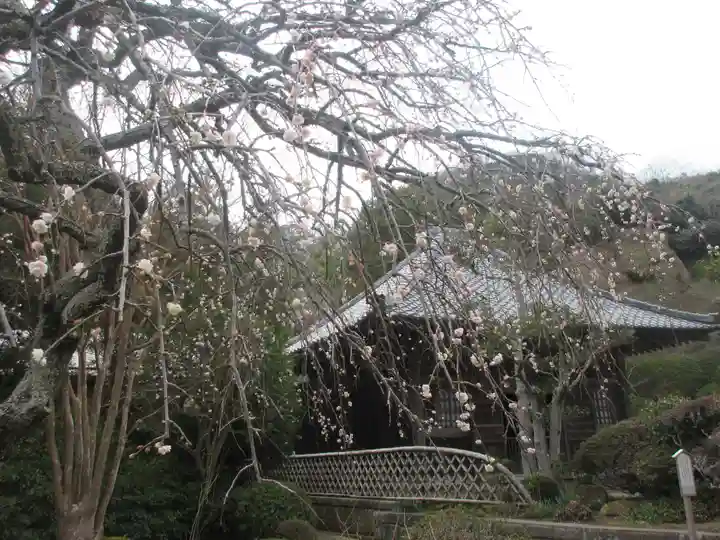 海蔵寺のその他建物