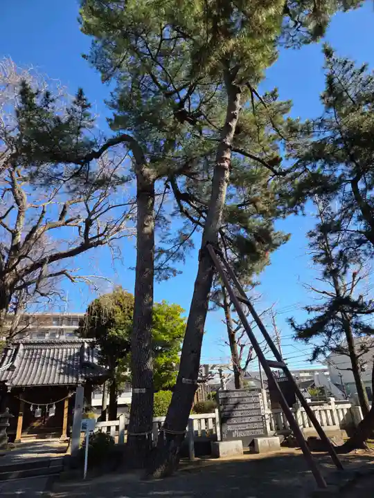 栗原氷川神社(東京都)