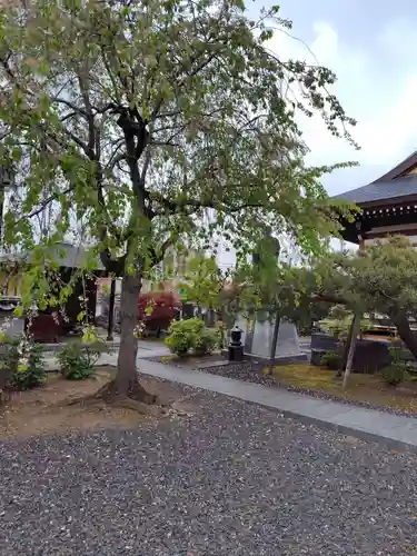 玄妙寺(山形県)