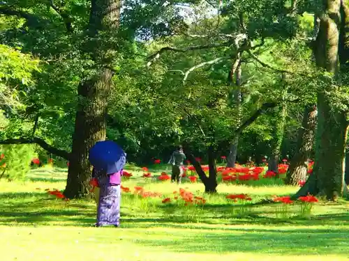 出雲大社の庭園