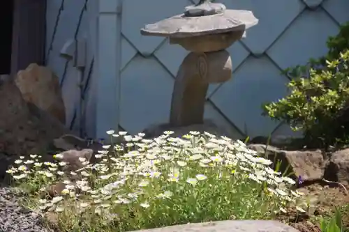 大鏑神社の庭園
