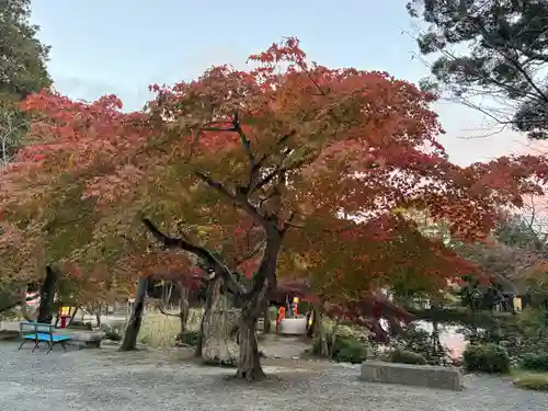 大原野神社(京都府)