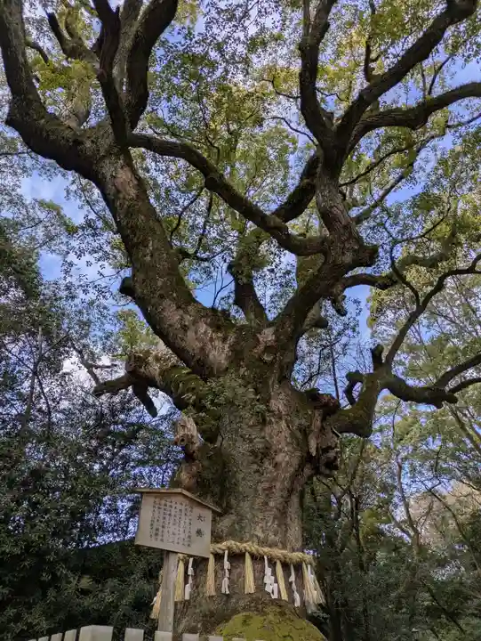 熱田神宮(愛知県)