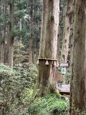 御岩神社(茨城県)