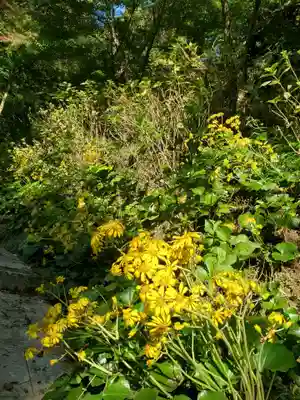 石都々古和気神社(福島県)