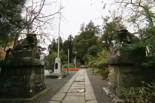 豊景神社の狛犬