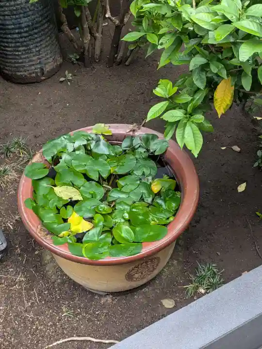 正行寺(東京都)