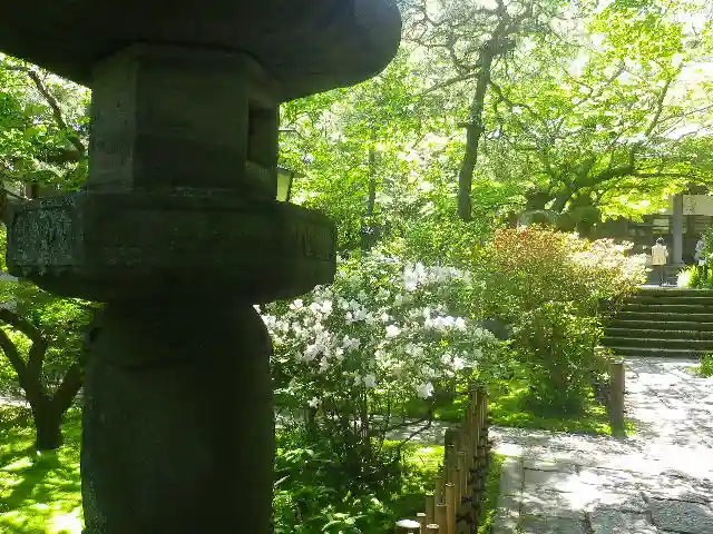 安國論寺(安国論寺)の庭園