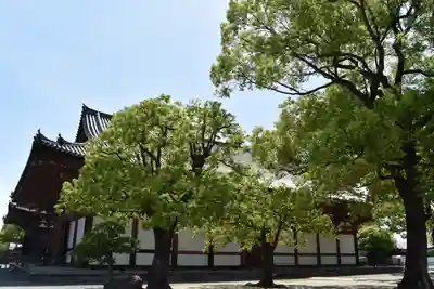 東寺(教王護国寺)の末社・摂社