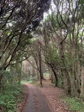 琴平社(千葉県)
