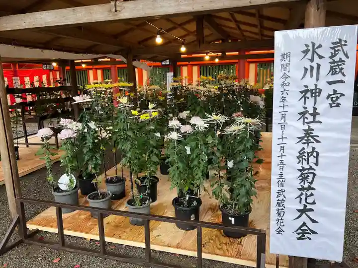 武蔵一宮氷川神社(埼玉県)
