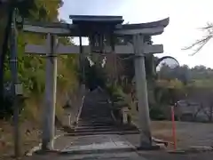 八王子神社の鳥居