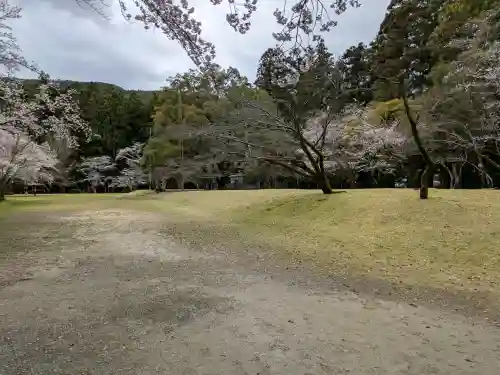 大斎原（熊野本宮大社旧社地）の{uncategorized: "未分類", other: "その他", undefined: "問題あり", building: "その他建物", grave: "お墓", sacred_gate: "鳥居", guardian: "狛犬", statue: "像", buddha: "仏像", history: "歴史", nature: "自然", garden: "庭園", animal: "動物", pagoda: "塔", temizu: "手水舎", mountain_gate: "山門・神門", sanctuary: "本殿・本堂", subordinate: "末社・摂社", art: "芸術", scenery: "景色", jizo: "地蔵", ema: "絵馬", goshuin: "御朱印", omikuji: "おみくじ", items: "授与品その他", amulet: "お守り", goshuincho: "御朱印帳", eats: "食事", festival: "お祭り", votive_dance: "神楽", shichigosan: "七五三参", wedding: "結婚式", experience: "体験その他", initially: "初詣", around: "周辺", anti_infection: "感染症対策"}