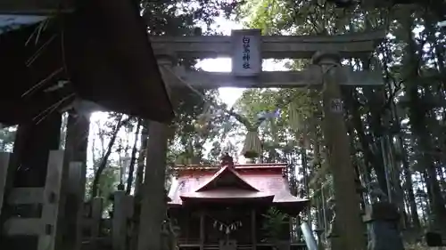 白鷺神社の鳥居