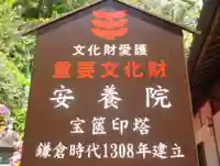 安養院 (田代寺)の歴史