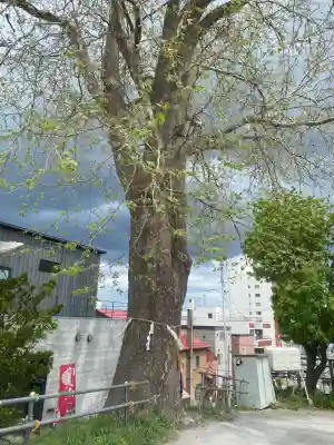 龍宮神社(北海道)