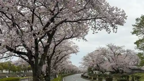 出雲大社相模分祠の{uncategorized: "未分類", other: "その他", undefined: "問題あり", building: "その他建物", grave: "お墓", sacred_gate: "鳥居", guardian: "狛犬", statue: "像", buddha: "仏像", history: "歴史", nature: "自然", garden: "庭園", animal: "動物", pagoda: "塔", temizu: "手水舎", mountain_gate: "山門・神門", sanctuary: "本殿・本堂", subordinate: "末社・摂社", art: "芸術", scenery: "景色", jizo: "地蔵", ema: "絵馬", goshuin: "御朱印", omikuji: "おみくじ", items: "授与品その他", amulet: "お守り", goshuincho: "御朱印帳", eats: "食事", festival: "お祭り", votive_dance: "神楽", shichigosan: "七五三参", wedding: "結婚式", experience: "体験その他", initially: "初詣", around: "周辺", anti_infection: "感染症対策"}