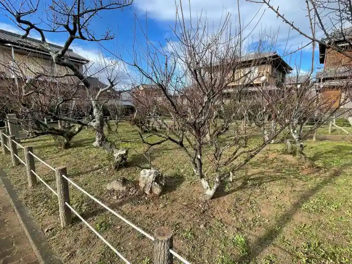 菅原神社の{uncategorized: "未分類", other: "その他", undefined: "問題あり", building: "その他建物", grave: "お墓", sacred_gate: "鳥居", guardian: "狛犬", statue: "像", buddha: "仏像", history: "歴史", nature: "自然", garden: "庭園", animal: "動物", pagoda: "塔", temizu: "手水舎", mountain_gate: "山門・神門", sanctuary: "本殿・本堂", subordinate: "末社・摂社", art: "芸術", scenery: "景色", jizo: "地蔵", ema: "絵馬", goshuin: "御朱印", omikuji: "おみくじ", items: "授与品その他", amulet: "お守り", goshuincho: "御朱印帳", eats: "食事", festival: "お祭り", votive_dance: "神楽", shichigosan: "七五三参", wedding: "結婚式", experience: "体験その他", initially: "初詣", around: "周辺", anti_infection: "感染症対策"}