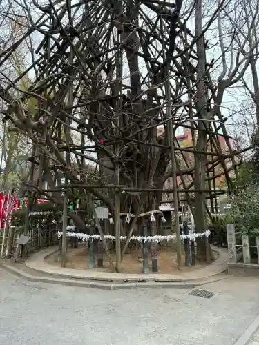 稲毛神社の{uncategorized: "未分類", other: "その他", undefined: "問題あり", building: "その他建物", grave: "お墓", sacred_gate: "鳥居", guardian: "狛犬", statue: "像", buddha: "仏像", history: "歴史", nature: "自然", garden: "庭園", animal: "動物", pagoda: "塔", temizu: "手水舎", mountain_gate: "山門・神門", sanctuary: "本殿・本堂", subordinate: "末社・摂社", art: "芸術", scenery: "景色", jizo: "地蔵", ema: "絵馬", goshuin: "御朱印", omikuji: "おみくじ", items: "授与品その他", amulet: "お守り", goshuincho: "御朱印帳", eats: "食事", festival: "お祭り", votive_dance: "神楽", shichigosan: "七五三参", wedding: "結婚式", experience: "体験その他", initially: "初詣", around: "周辺", anti_infection: "感染症対策"}