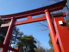 一之宮貫前神社の鳥居