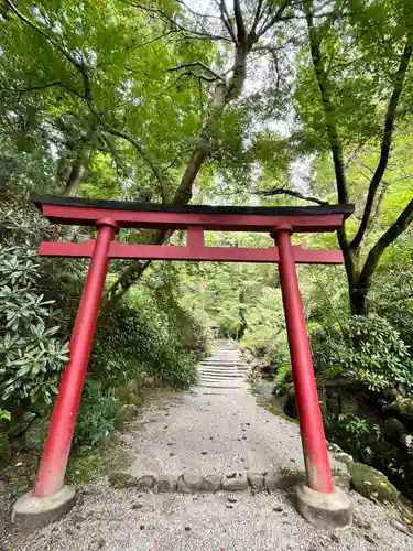 岡寺（龍蓋寺）(奈良県)