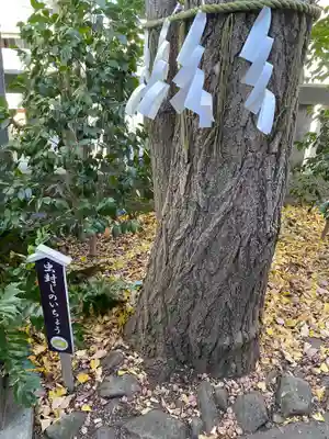 行田八幡神社(埼玉県)