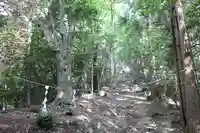 富士浅間神社の自然