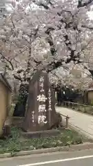 新井薬師（梅照院）(東京都)