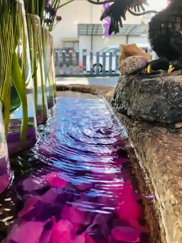 別小江神社の手水舎