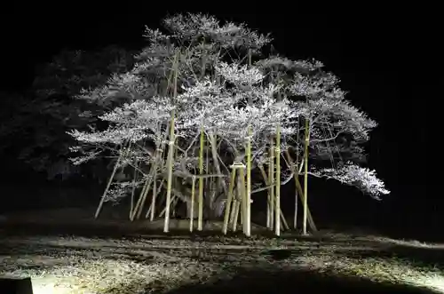 淡墨観音(岐阜県)