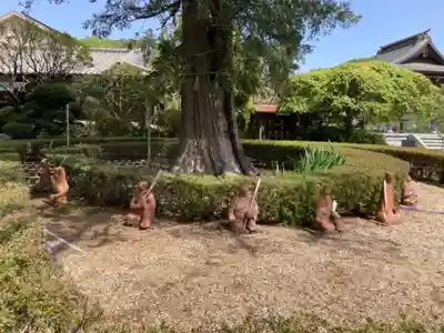 西光寺(神奈川県)