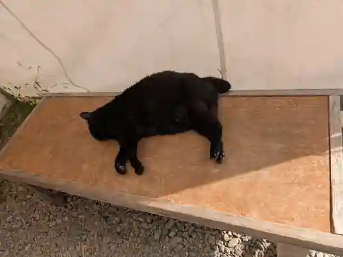 梅宮大社(京都府)