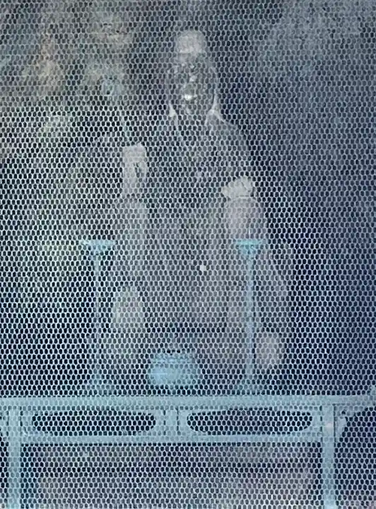 清荒神清澄寺(兵庫県)