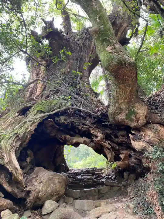 大山祇神社奥の院 生樹の御門(愛媛県)