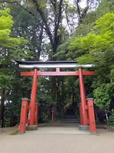 霧島東神社(宮崎県)