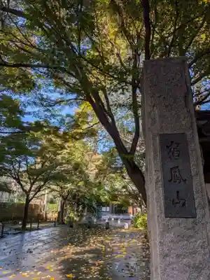 高円寺(東京都)